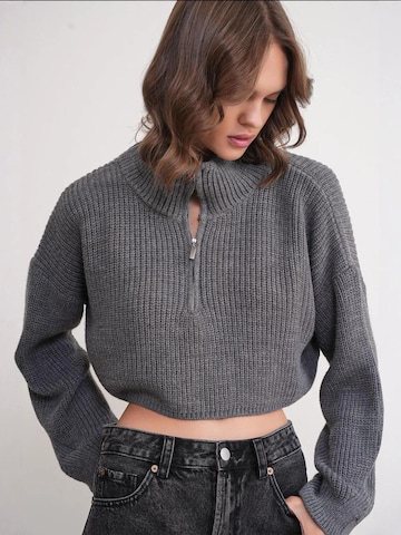 Pullover di MixRay in grigio