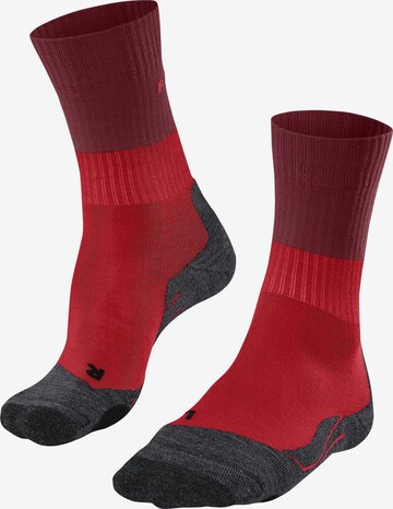 FALKE Sportsocken 'TK2 Explore' in Rot: Vorderseite
