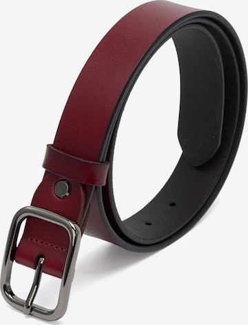 jolar Belt in Brown: front