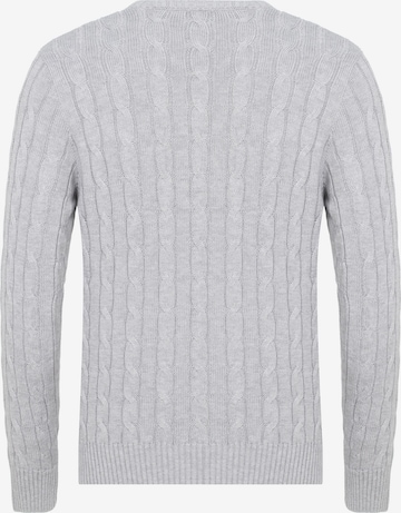 DENIM CULTURE Sweater 'MAURIZIO' in Grey