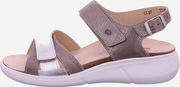 Finn Comfort Sandals in Brown