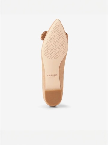 Cole Haan Ballerina 'BELLPORT BOW' in Braun