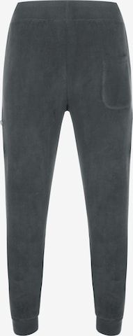 Tapered Pantaloni di ALPHA INDUSTRIES in grigio