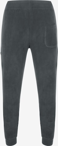 Effilé Pantalon ALPHA INDUSTRIES en gris