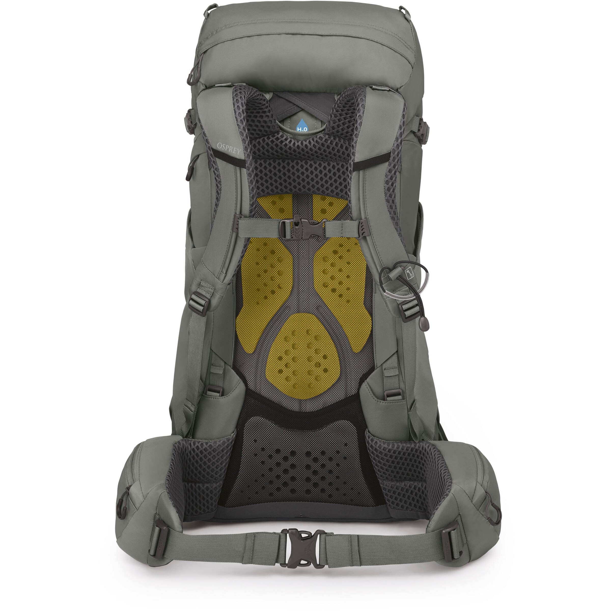 Osprey Sports Backpack 'Kyte 38' in Green