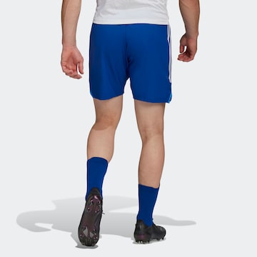 regular Pantaloni sportivi 'Condivo 22' di ADIDAS SPORTSWEAR in blu