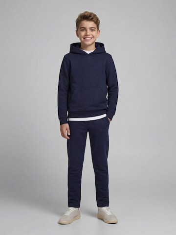 regular Pantaloni 'JREBCREST' di JJ Rebel in blu