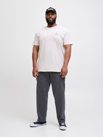 Jack & Jones Plus Свободный крой Брюки-чинос 'JPSTKANE' в Серый