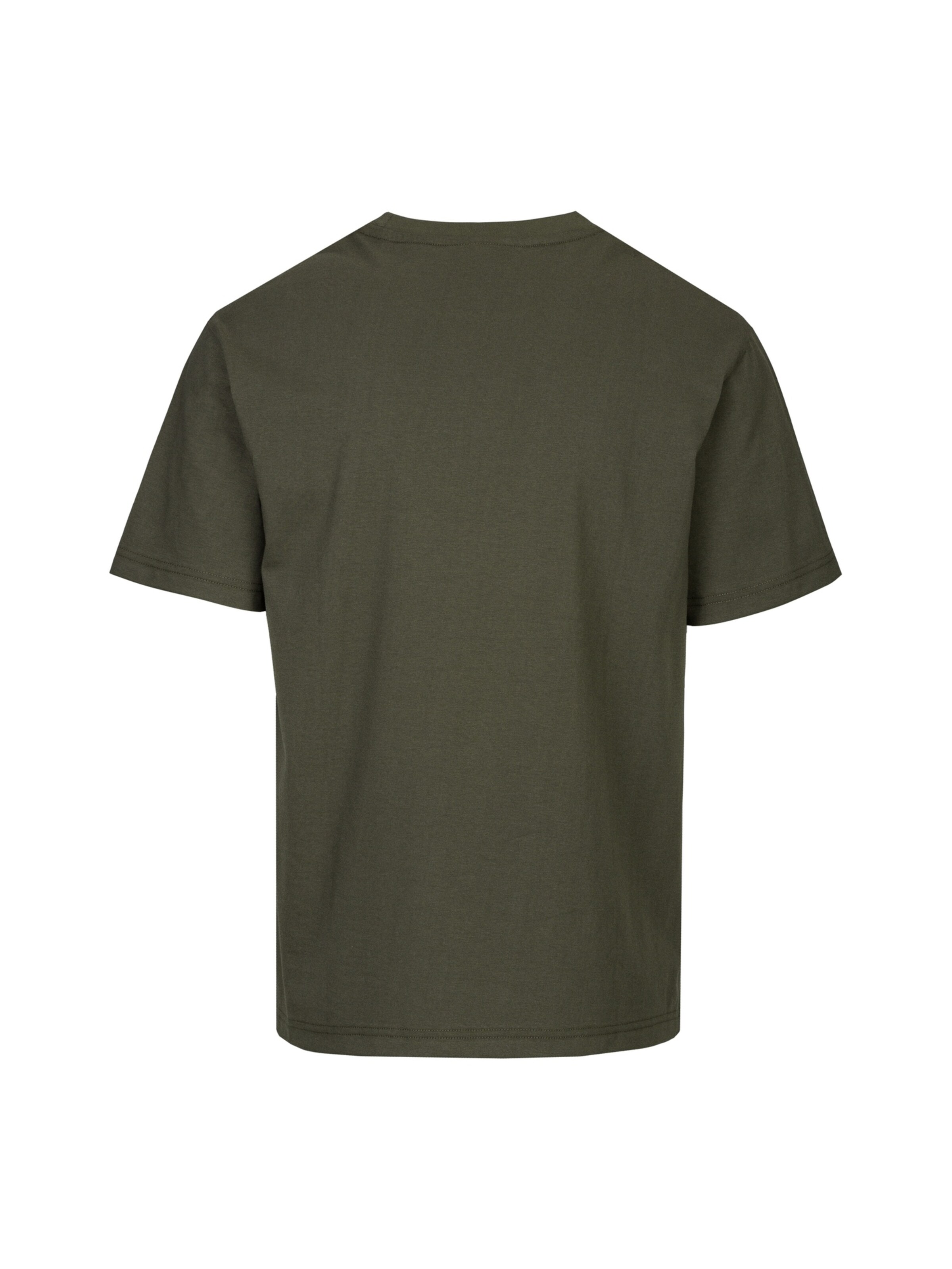 19V69 ITALIA T-Shirt 'Rafael' in Grün