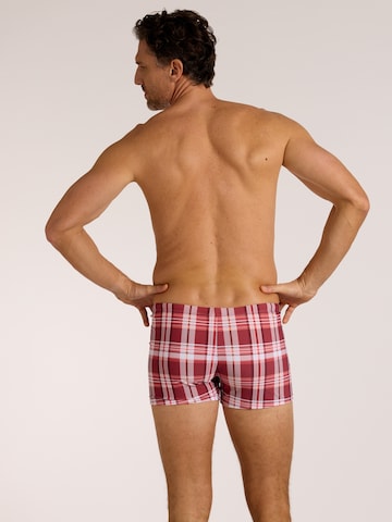 wavebreaker Swim Trunks in Red