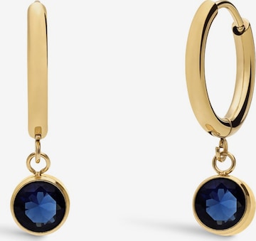 Lucardi Ohrringe in Gold: Vorderseite