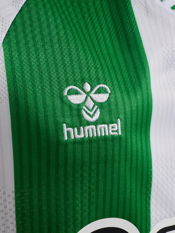 T-Shirt fonctionnel 'Real Betis 25/26' Hummel en vert