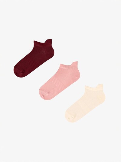 Penti Sukapöiad 'PENTI Fit Back 2er-Pack Sneaker-Socken' 36-40 suuruses segavärvid, Tootevaade