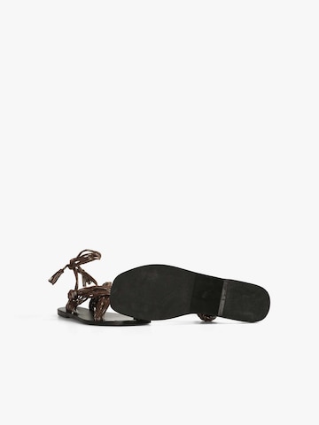 Scalpers Sandals in Brown