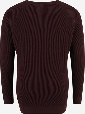 s.Oliver Men Big Sizes Sweater in Brown