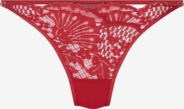 raudona Hunkemöller Siaurikės 'WHITNEY': priekis