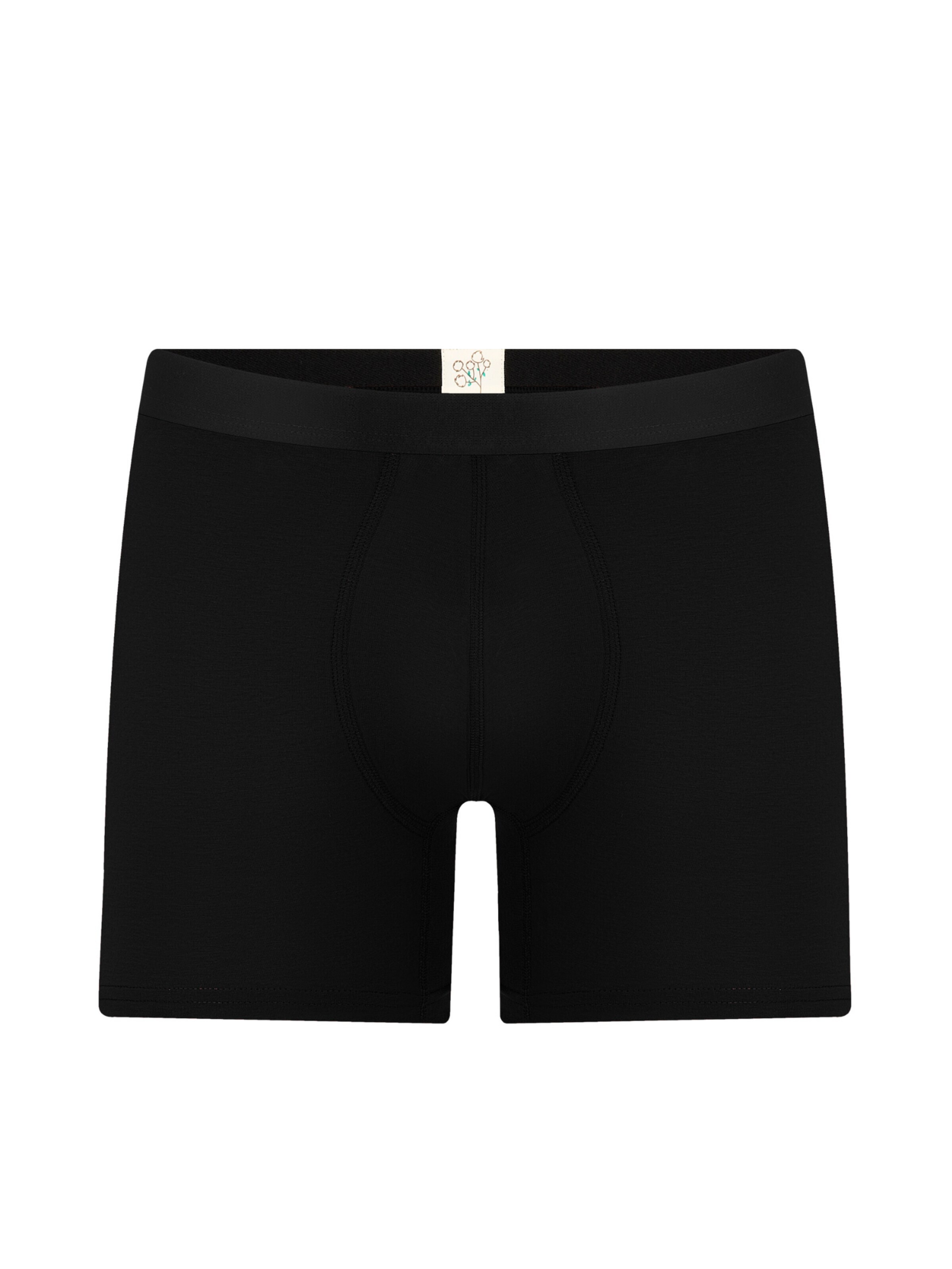 Albero Natur Long Johns 'Bio-Baumwoll-Herren Long Trunks' in Black: front