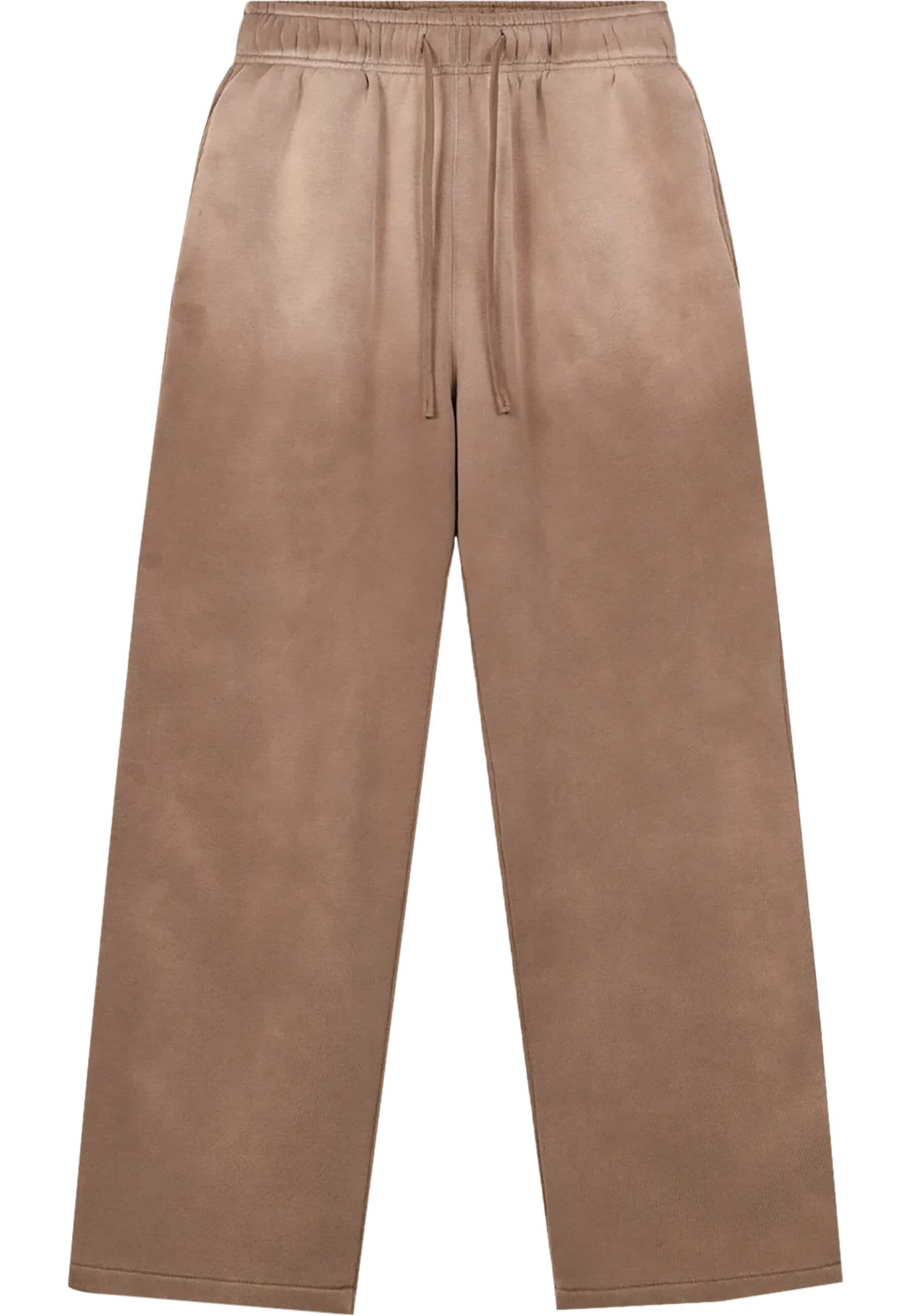 Another Cotton Lab - regular Pantalón ' ' en marrón: frente