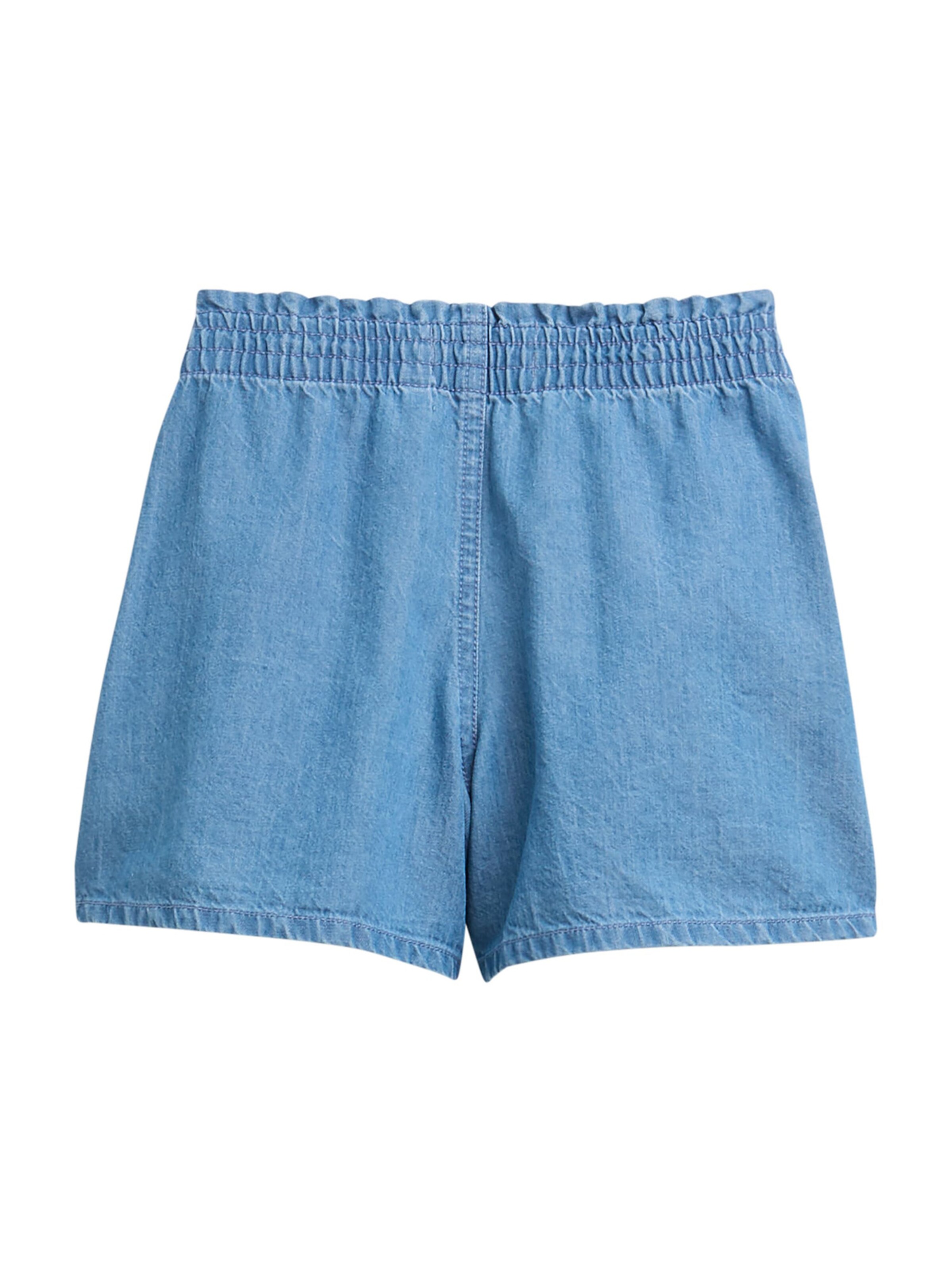 TOM TAILOR Regular Shorts in Blau