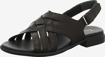 THINK! Strap Sandals 'Kamaa' in Black: front