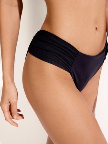 CALZEDONIA Bikini Bottoms in Black