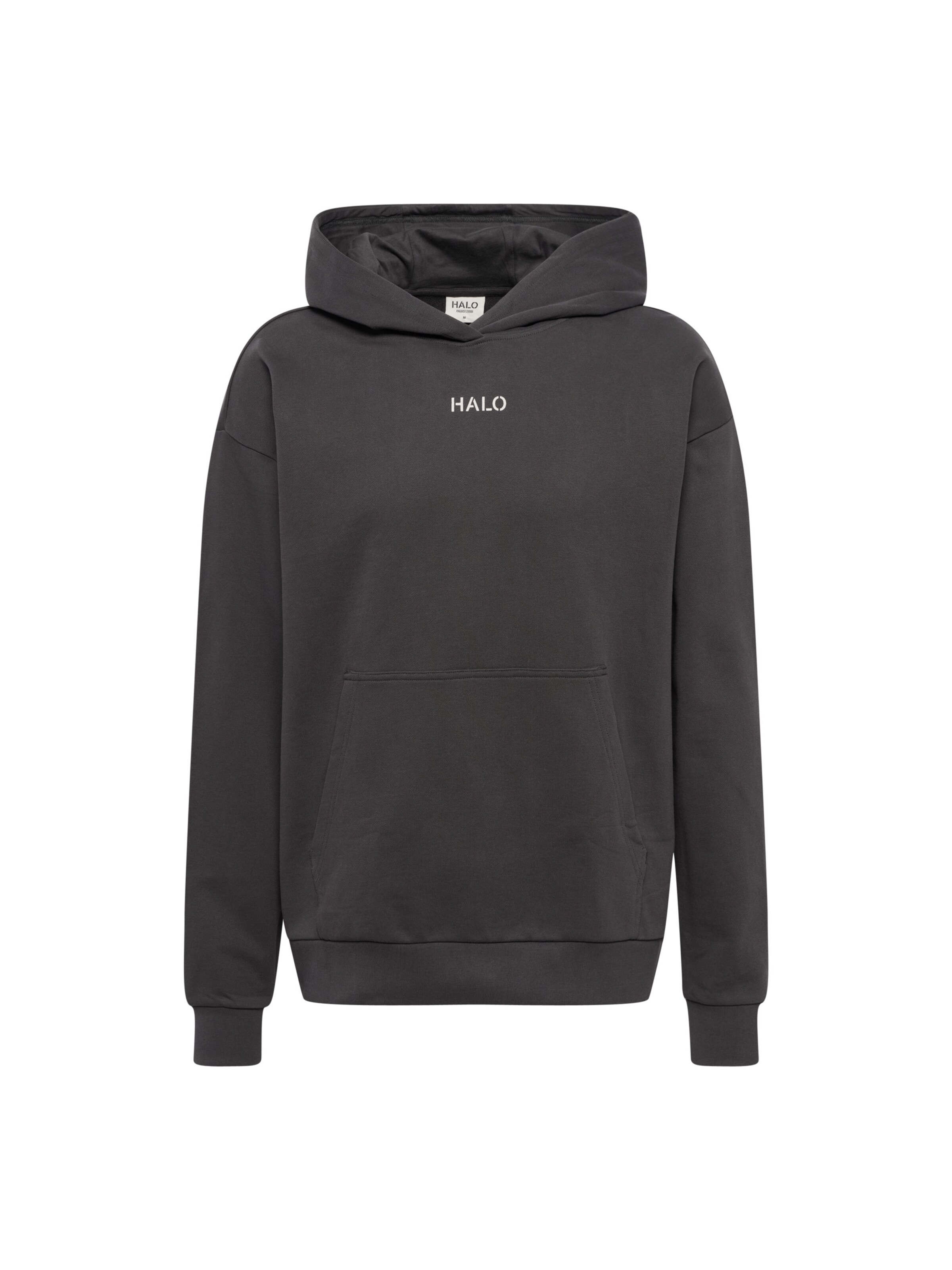 HALO Sweatshirt in Grau: Vorderseite
