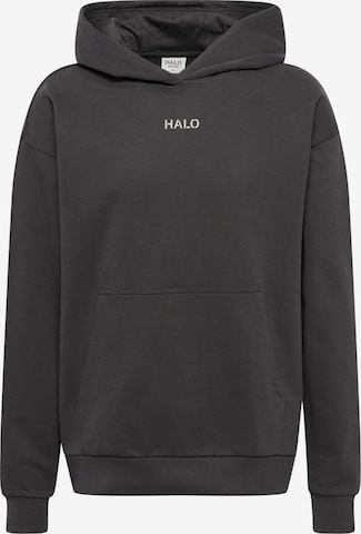 HALO Sweatshirt in Grijs: voorkant