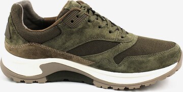 Pius Gabor Sneakers laag in Groen