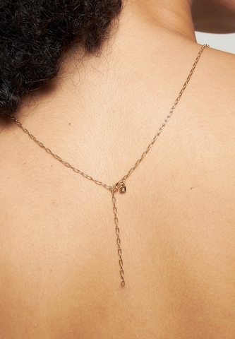 Chaîne Stilnest en or