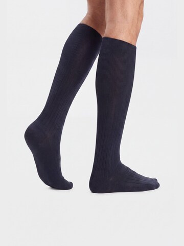 Ciocca Knee High Socks in Blue