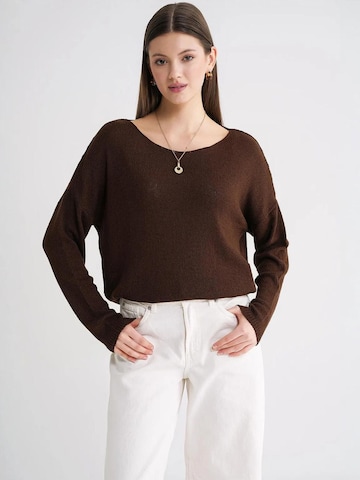 Pullover 'Pullover' di MixRay in marrone