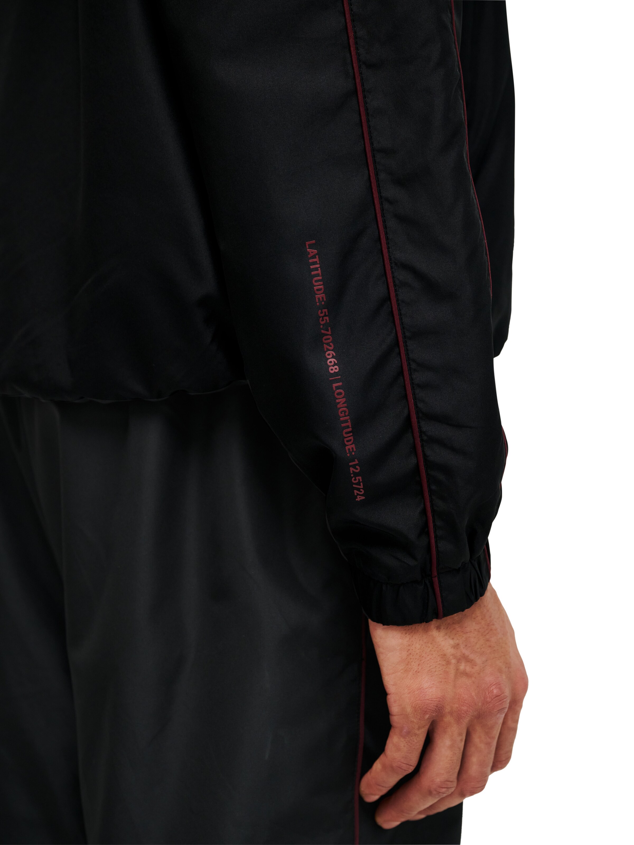 HALO Tussenjas in Zwart