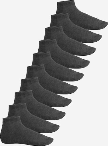 footstar Socken 'EVERYDAY!' in Grau: Vorderseite
