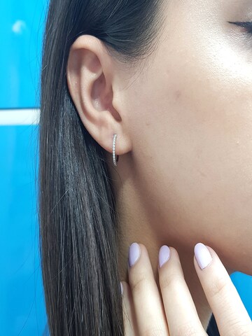 EinStein Diamant Earrings in Silver