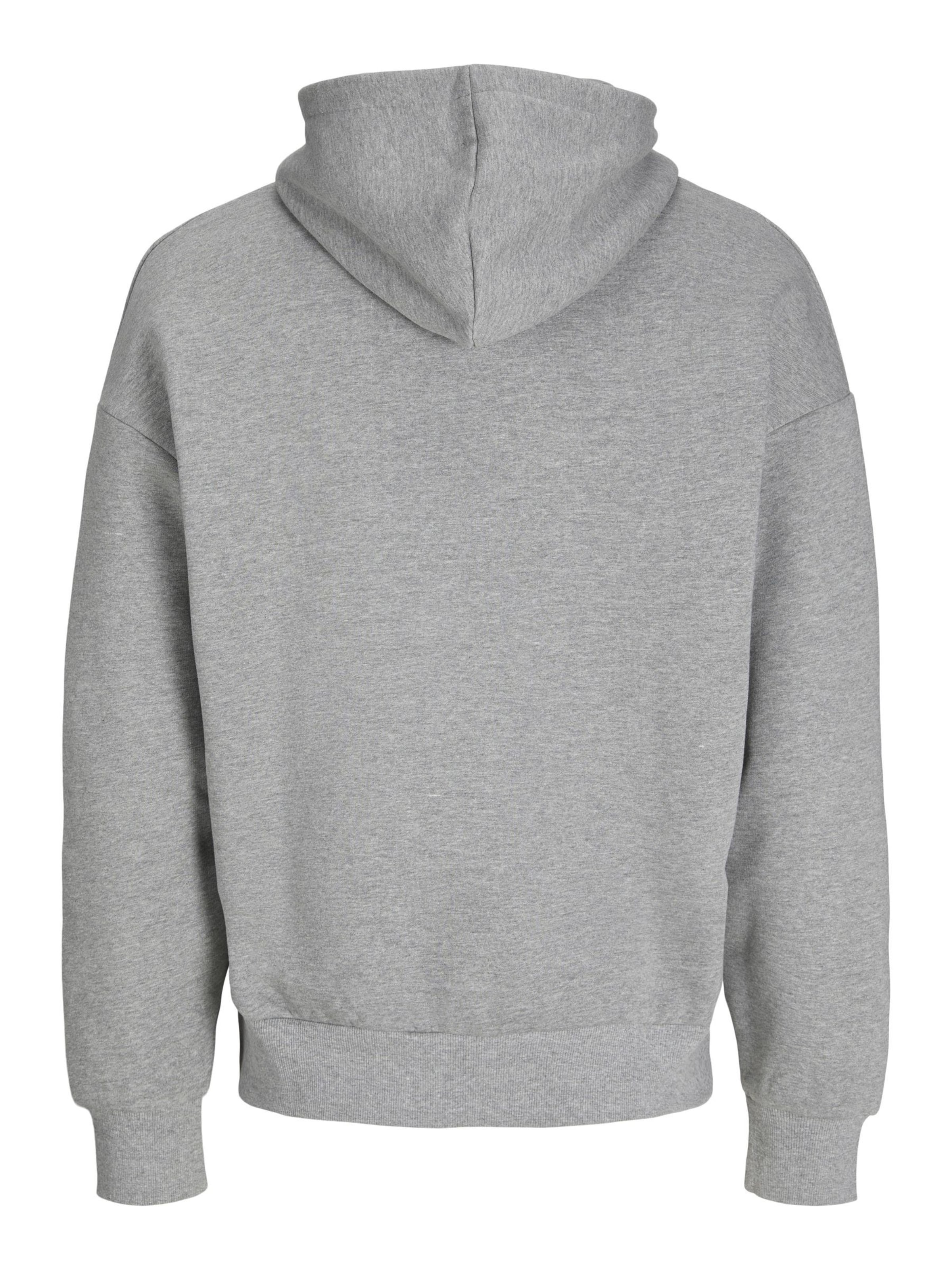aprel Sweatshirt in Grau