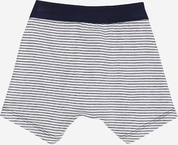 SCHIESSER Underpants in Blue