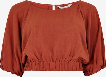 Apricot Blouse in Brown: front