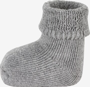 STERNTALER Socks in Grey