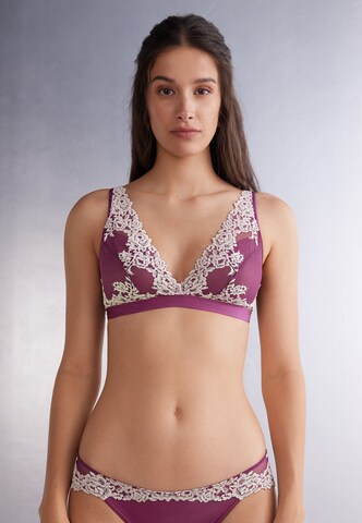 INTIMISSIMI Triangle Bra 'Pretty Flowers' in Purple: front