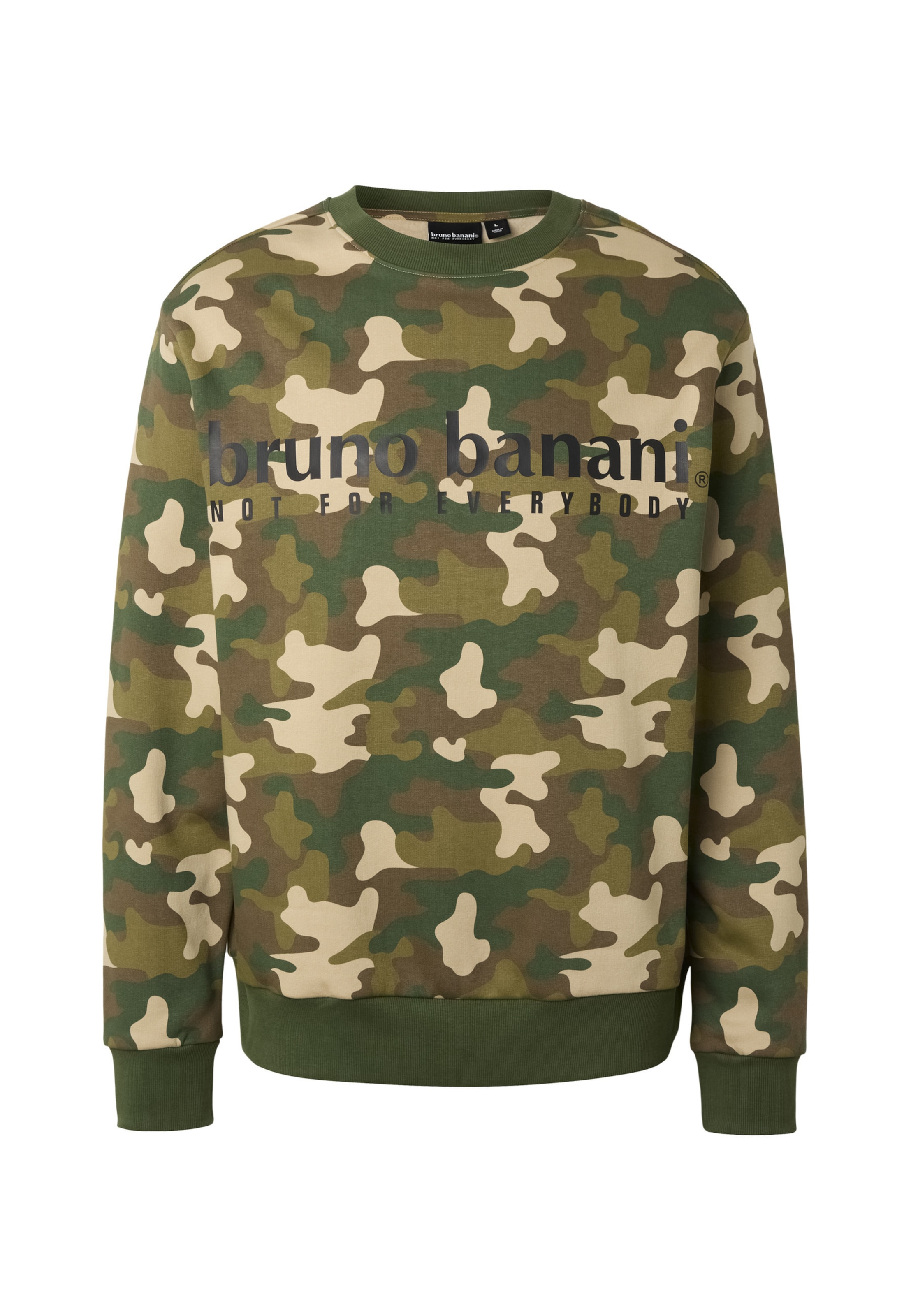 Bruno Banani Sweatshirt in Green: front