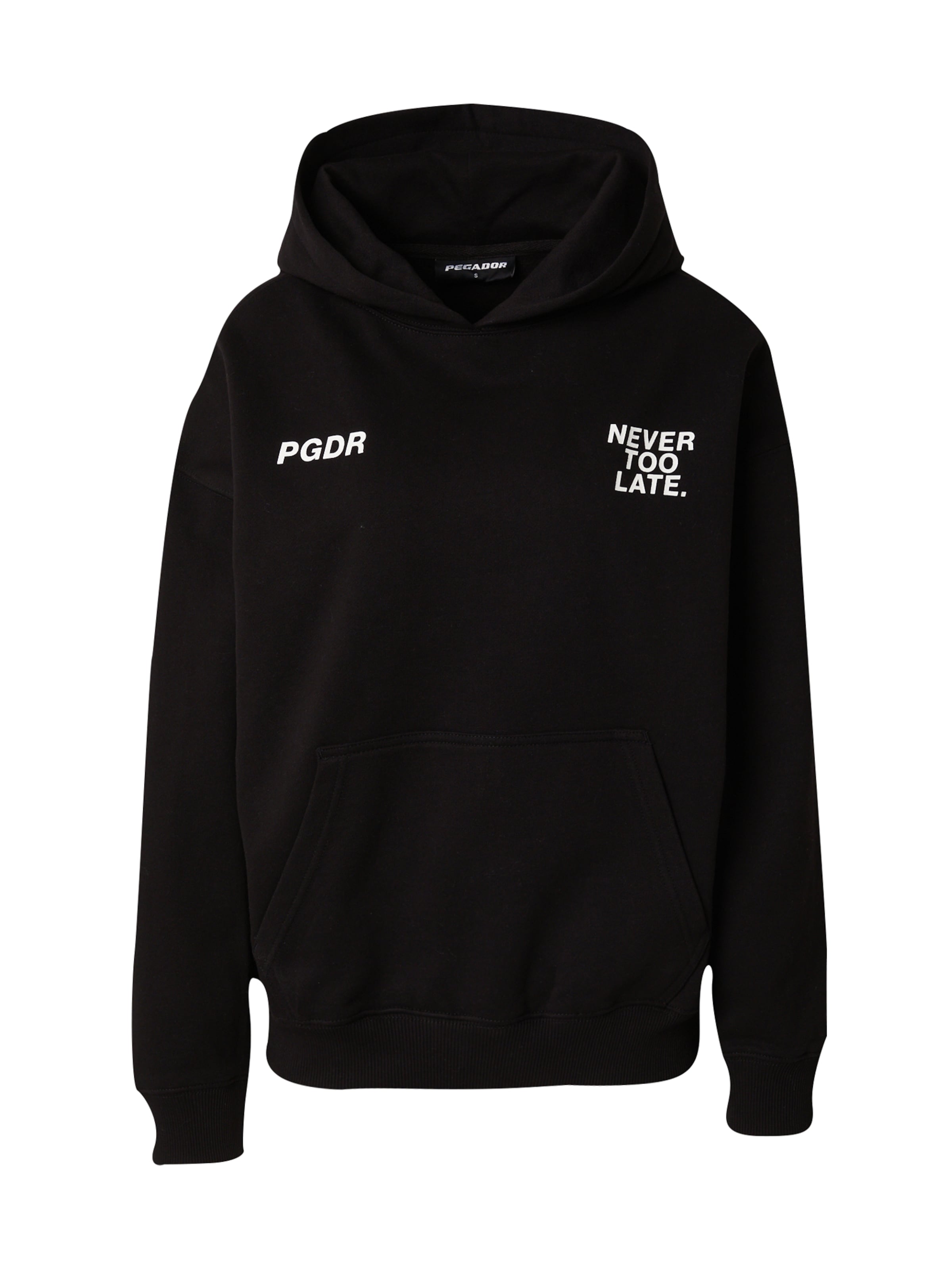 Pegador Sweatshirt 'Airville' i svart: framsida