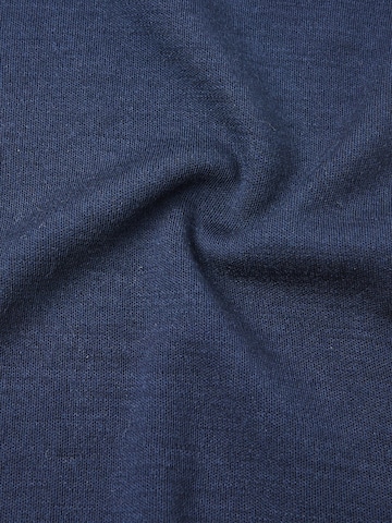 Reima Gloves 'Eino' in Blue