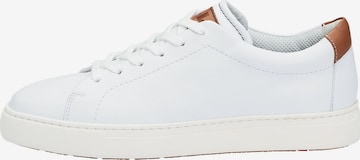 LLOYD Platform trainers 'Madox' in White: front