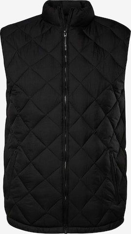 Men Plus Bodywarmer in Zwart: voorkant