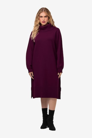 Ulla Popken Knitted dress in Purple: front