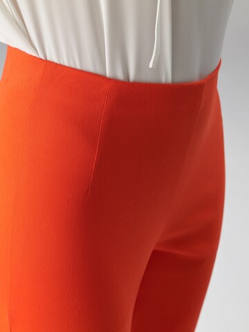 Minx Regular Hose 'MOSES'‌‌‌‌‌ in Rot