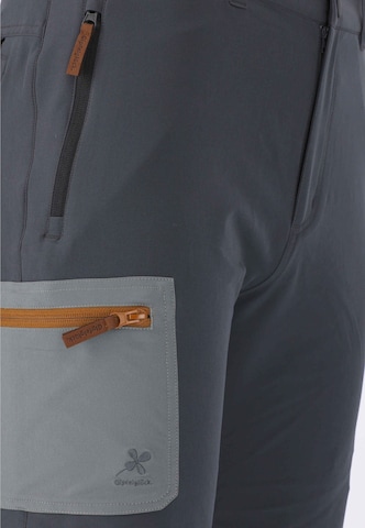 Gipfelglück Regular Outdoor Pants 'Josef' in Grey