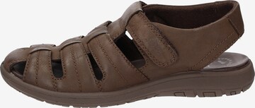 SIOUX Sandals in Brown