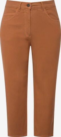 Ulla Popken Regular Jeans in Brown: front