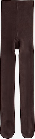 Next Panty's in Bruin: voorkant